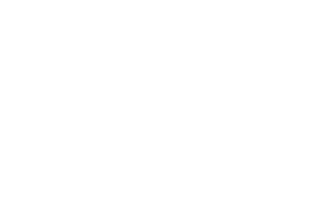 17 Birlik Yatırım Logo
